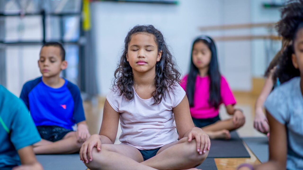  Yoga Com Música - Músicas e Posturas para Relaxar e Acalmar :  Cris Pitanga: Música Digital